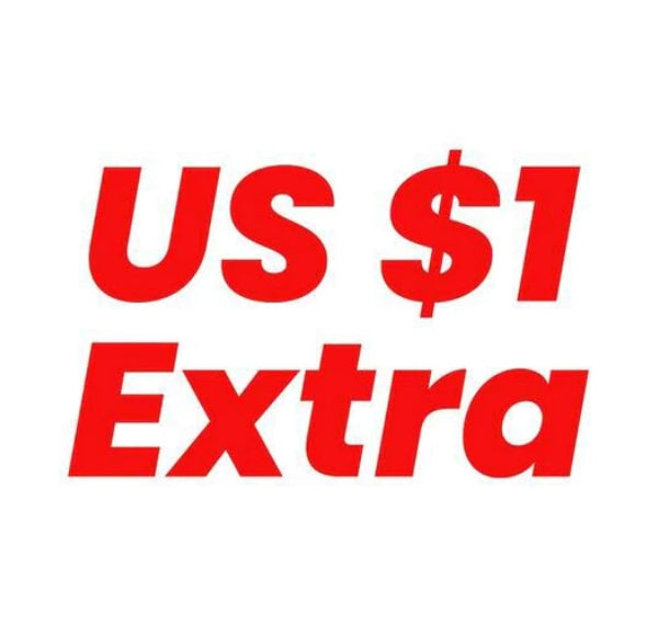 Extra fees, additional cost (If US$15, Pls input 15 pcs, amount to pay ...